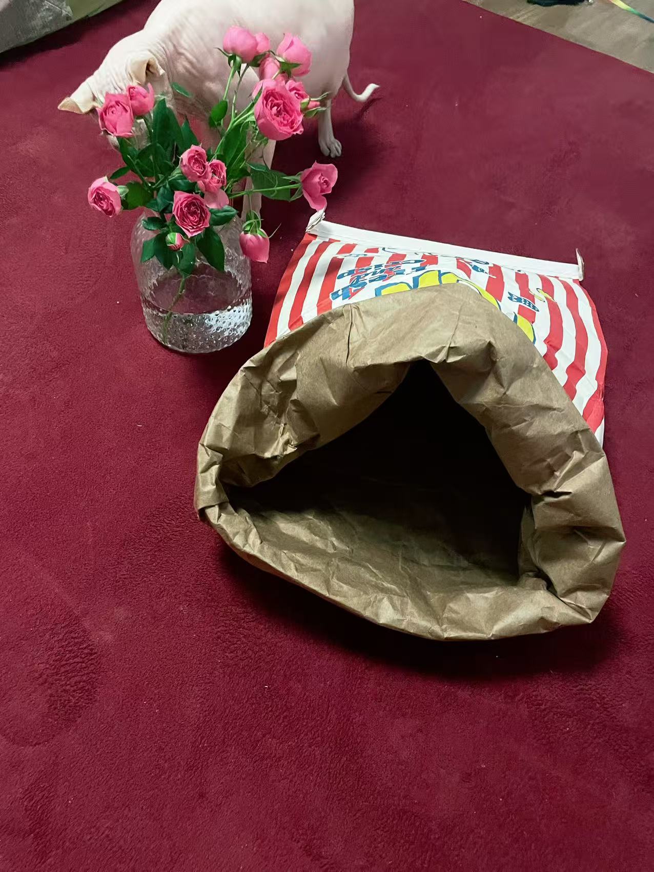 Cat/Dog Play Paper Bag