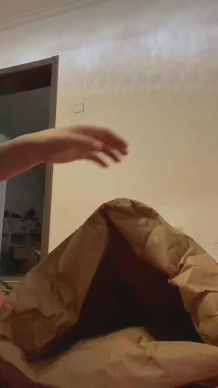 Cat/Dog Play Paper Bag