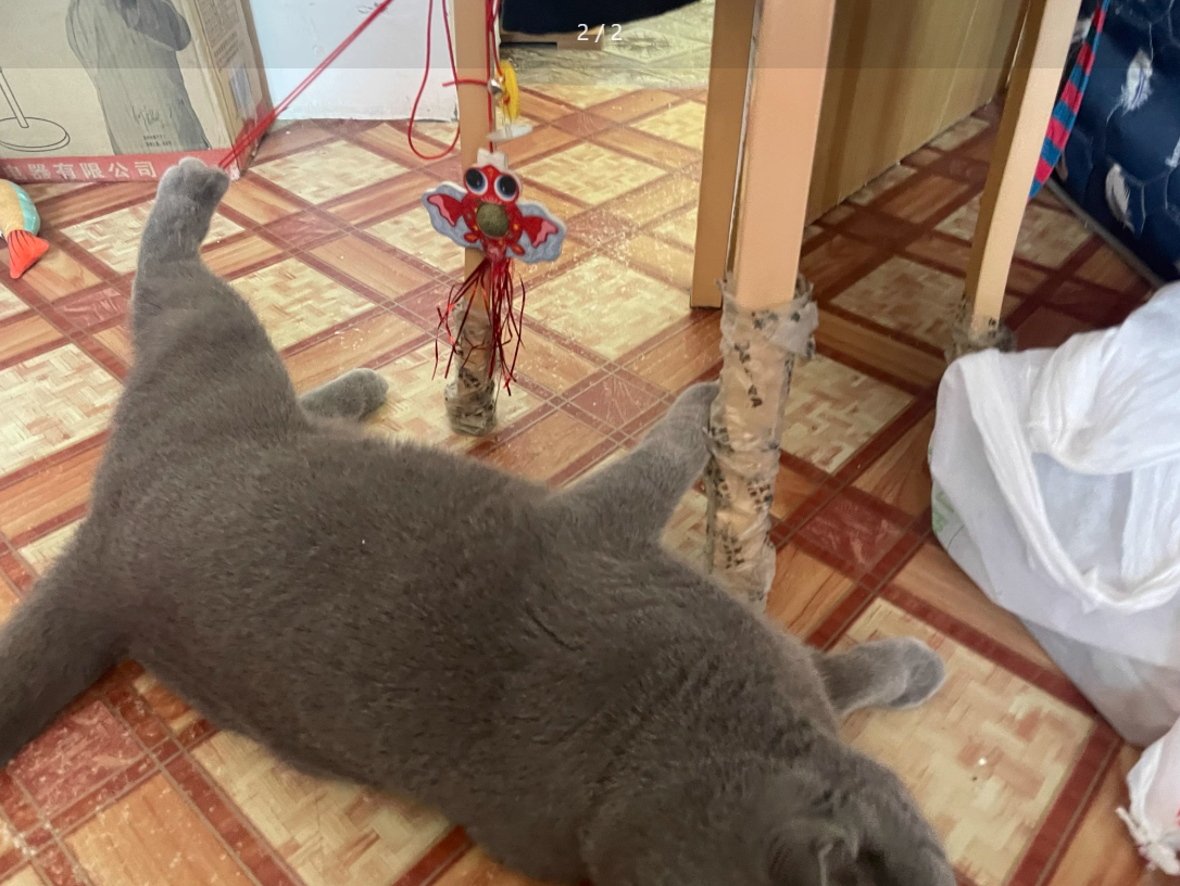 $9.9 Door-Hanging Teaser Wand with Elastic Rope and Feather